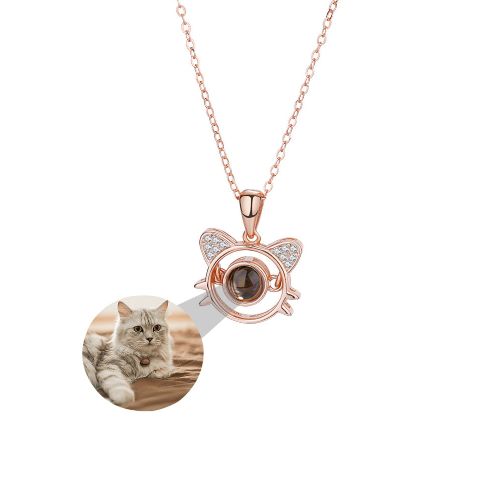 Fotohalsband - Katt