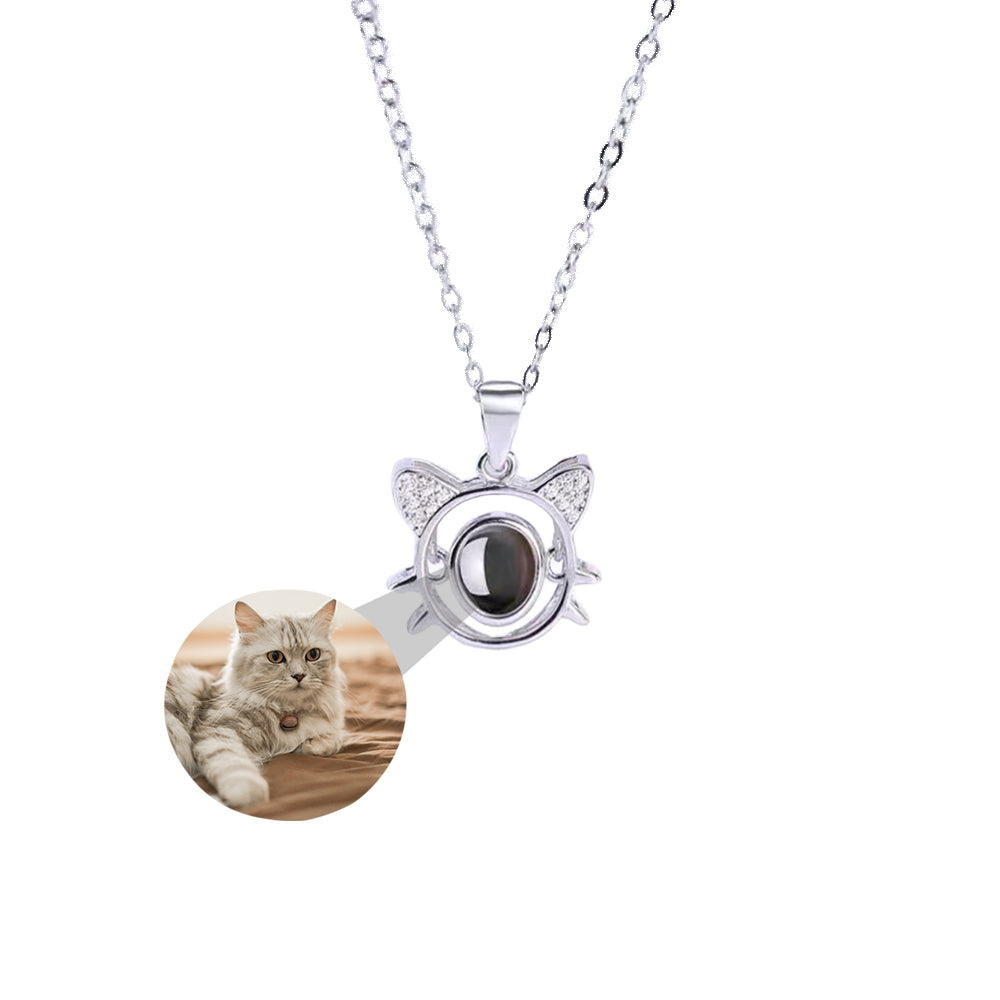 Fotohalsband - Katt