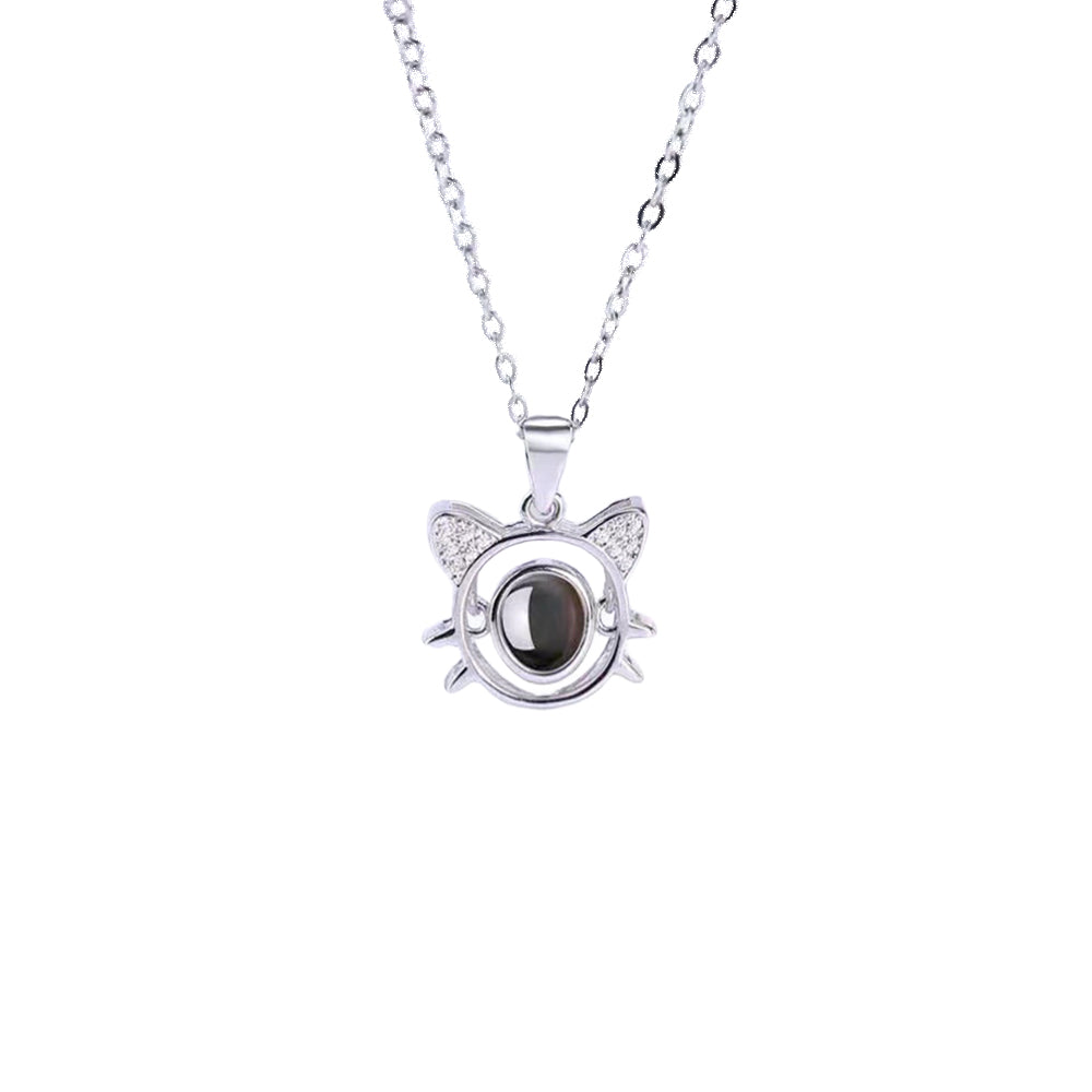 Fotohalsband - Katt 